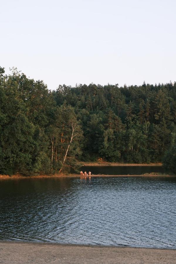 Lodge Avec Spa Privatif - Foret Et Lac Liginiac Екстер'єр фото