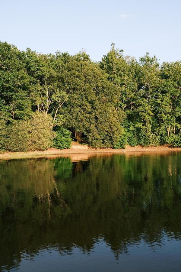 Lodge Avec Spa Privatif - Foret Et Lac Liginiac Екстер'єр фото