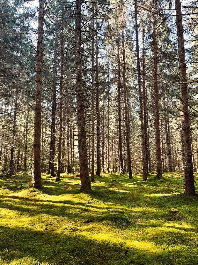 Lodge Avec Spa Privatif - Foret Et Lac Liginiac Екстер'єр фото