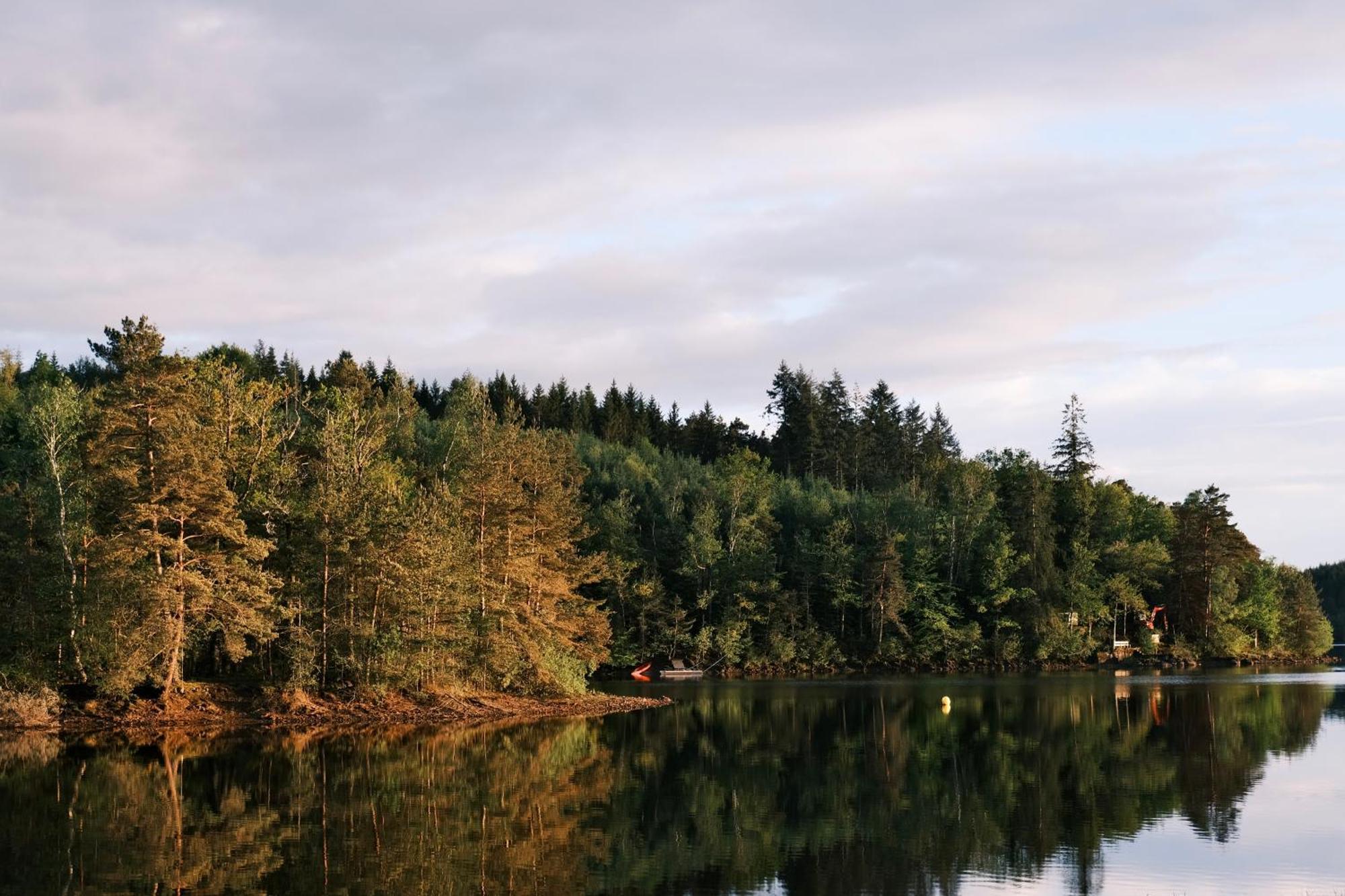 Lodge Avec Spa Privatif - Foret Et Lac Liginiac Екстер'єр фото